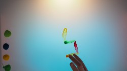 OLYMPUS DIGITAL CAMERA